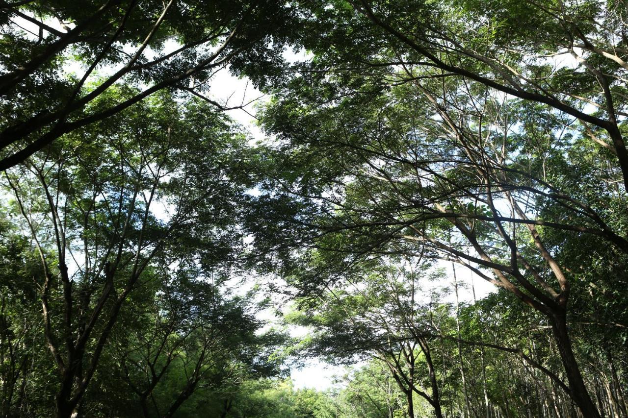 Intercontinental Khao Yai Resort By Ihg Pak Chong Εξωτερικό φωτογραφία