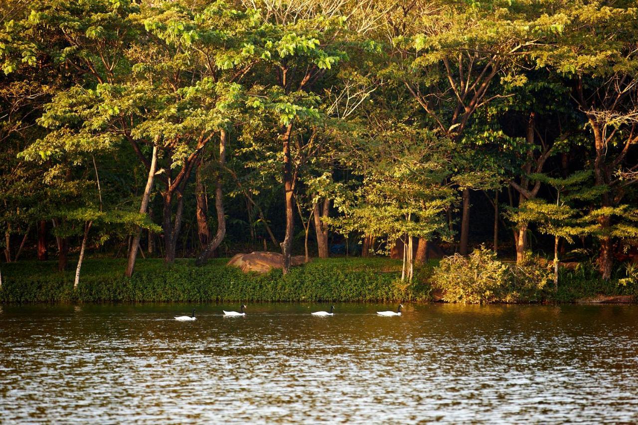 Intercontinental Khao Yai Resort By Ihg Pak Chong Εξωτερικό φωτογραφία