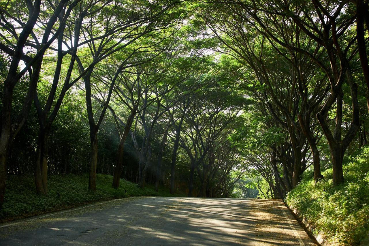 Intercontinental Khao Yai Resort By Ihg Pak Chong Εξωτερικό φωτογραφία